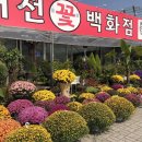 도우미꽃식물원 이미지