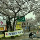 가창제일횟집 | 대구 달성군 유가읍 &#39;달성횟집&#39; 달창지 근처 부모님 추천 향어회 맛집