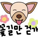 엔케이플러스 이미지