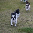 이쁘개즐겁개 이미지