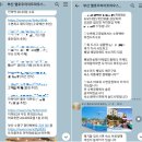 옐로우라이트하우스 이미지