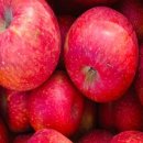 미라농원 이미지