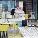 유가읍 안경박사 앞 | 이천 안경원 안경박사 중앙점 레이밴 선글라스 30% 할인 직접 비교해봤어요