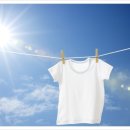 하얀빨래센터 이미지