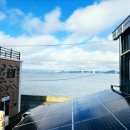 선재유일390 이미지