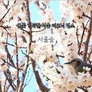 서울숲 주차장 화장실 이미지