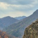 장태산 자연 휴양림 이미지