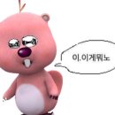 부안오토 이미지