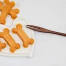 견식파티 이미지