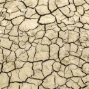 올리브 농장 이미지