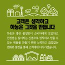 주식회사 하농 이미지