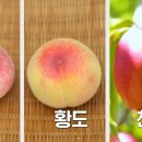 원호농장 이미지