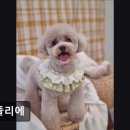 멍뜰리에 이미지