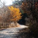 작전역사거리 1,2번 출구 앞 이미지