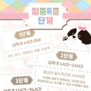 채움동물병원 이미지