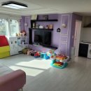 제주아이노스 이미지