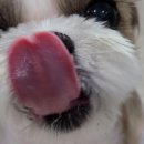 율하 위드동물병원 이미지