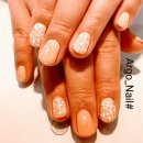 아르고네일 이미지