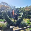 표선리-26 이미지