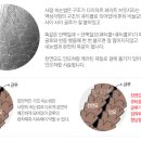 와와속눈썹