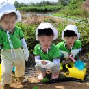 북촌농장 이미지