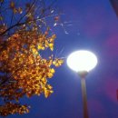 가로등 벤치 이미지