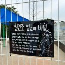 [서울 근교 나들이] 농협경제지주 안성팜랜드 주말 공휴일 방문 추천 후기, 식당, 지도, 호밀밭, 유채꽃...