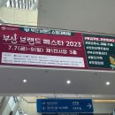 영남세계일주 | 부산 브랜드 페스타 2023 + 농수산물박람회 후기(+ 증정품, 이벤트)