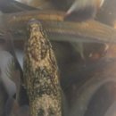 산이랑물이랑 이미지