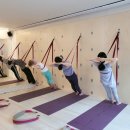 요가로움 이미지