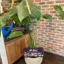 곤드레밥집 중동점 | 부천 모임 하기 좋은 곤드레밥집 중동점 단골 후기