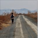 금호교차로~산이교 | 서해랑길16,17코스ㅡ 해남에서영암으로그리고목포시로진입한다