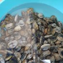 파랑새휴게소 이미지