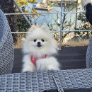 거제-동부-남부-비상-12 | 거제 오션뷰 카페 몰리힐스 장목반점