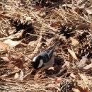 희망이음길 이미지