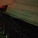 신진주유소 이미지