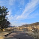 마리장풍숲 이미지