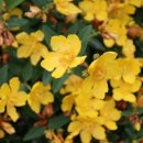 두륜산농장 이미지