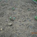 장수촌경로당 이미지