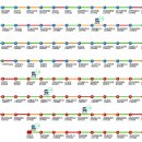 101스퀘어 사거리 이미지