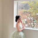 스튜디오 숲 | 대전 더숲스튜디오 웨딩촬영 후기 | 겨울 촬영도 걱정 없었던 플래너 동행 리뷰