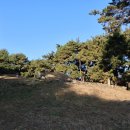 주세붕묘역 이미지