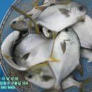 해솔바다낚시터 이미지