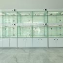 민들레애견 이미지