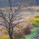 개울옆길 이미지