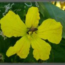 사암농장 이미지