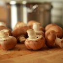 버섯의 효능과 버섯 활용 TIP 이미지