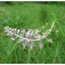 독바위역 이미지