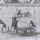 사인나라