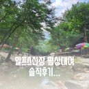 알프스산장민박 이미지